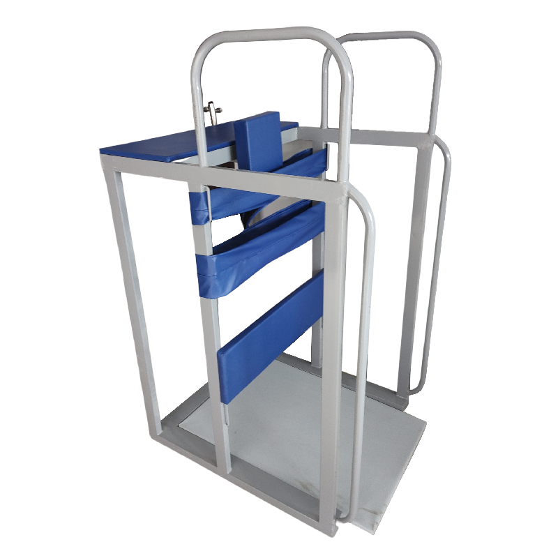 HN08 Standing Frame Adult with railing